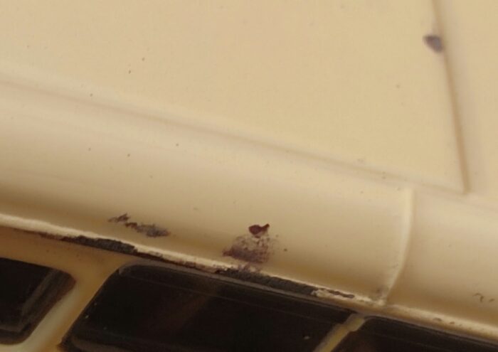 EFE 1:76 - Bedford OB Vega Coach. - Image 2